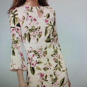 Petal sleeve shift dress